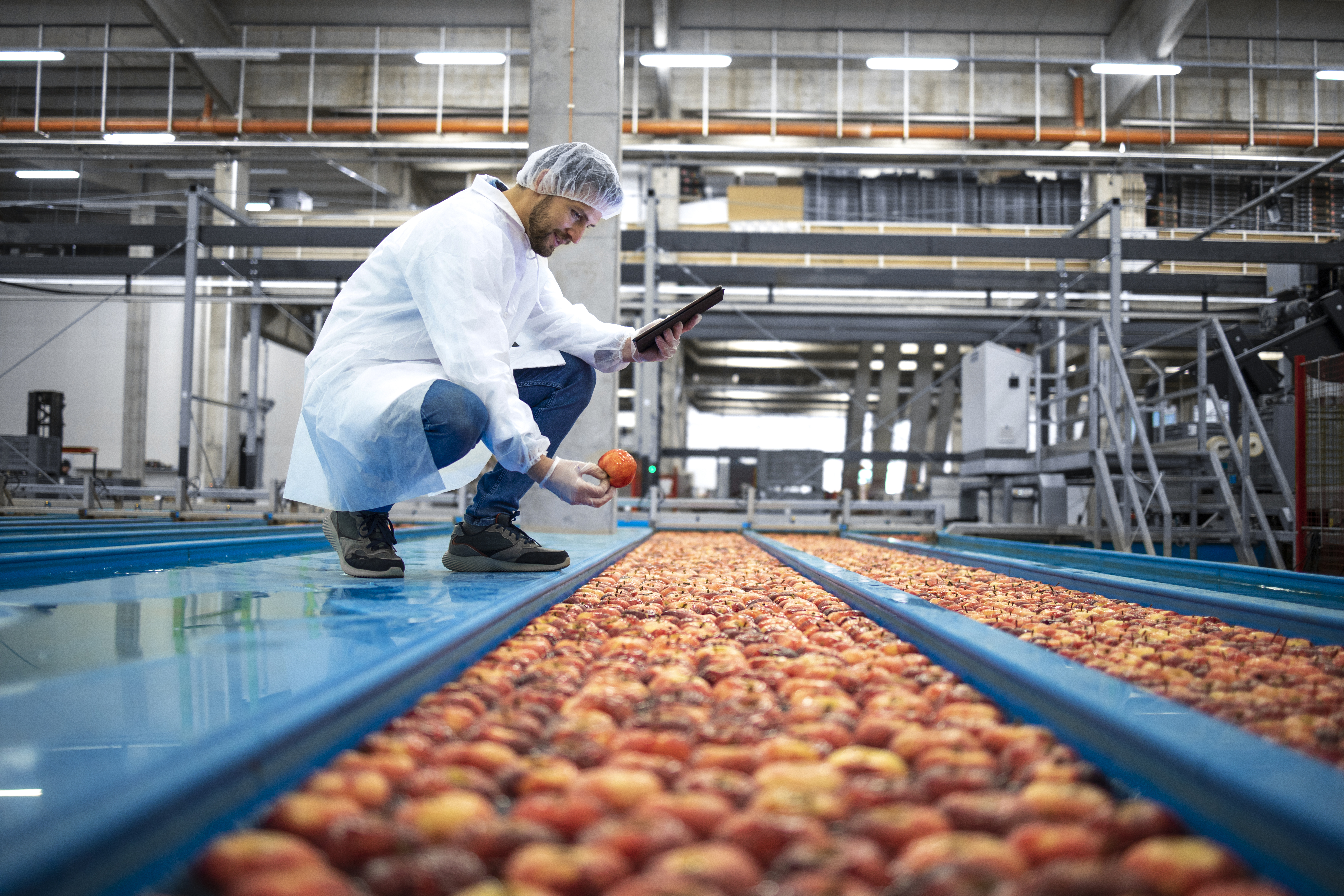 indústria alimentícia